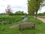 Bornsebeek